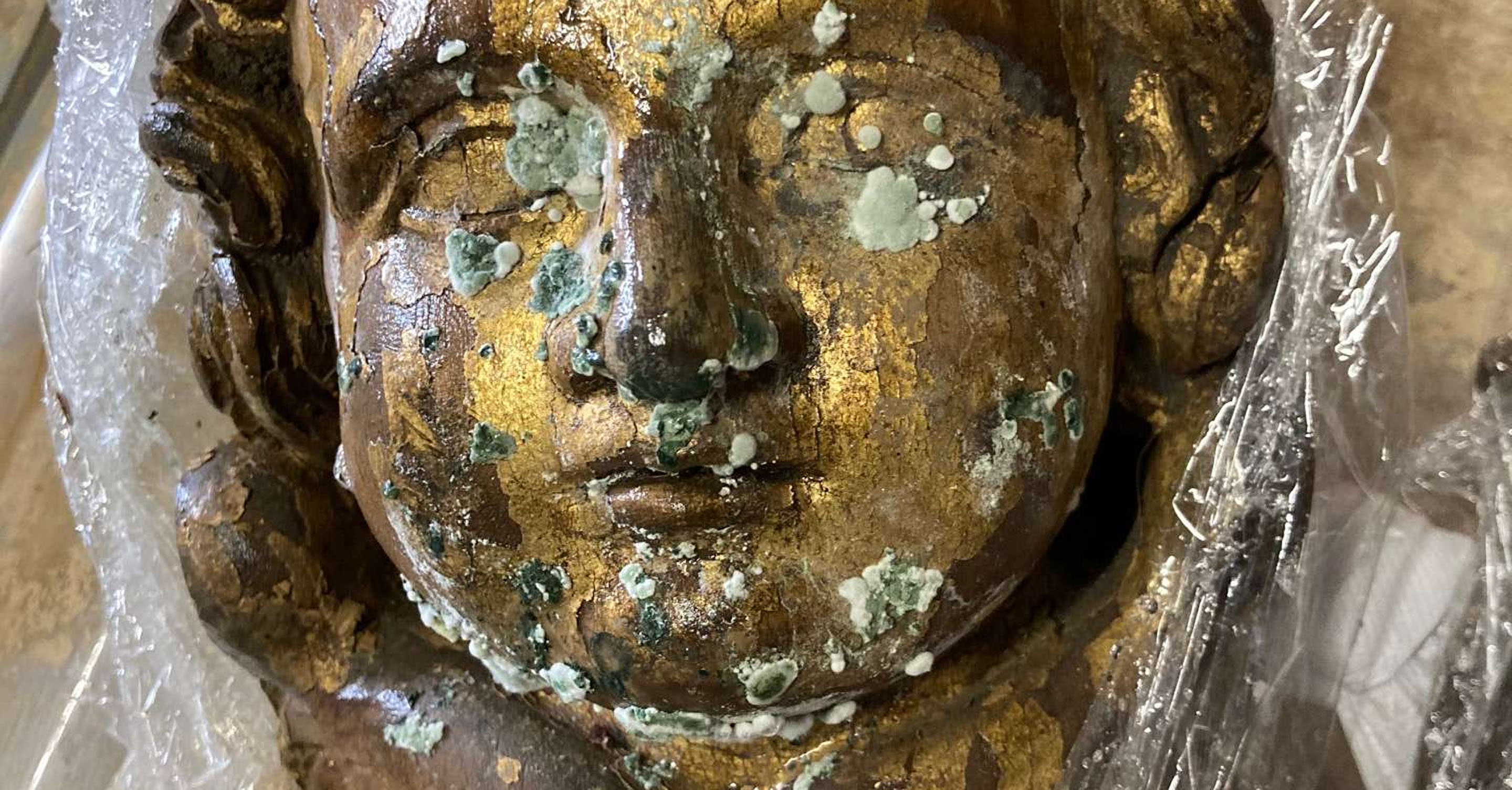 Museumsverband rettet Kulturgut in Rheinland-Pfalz